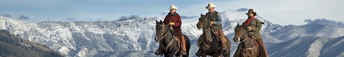 Westernridning iFokus